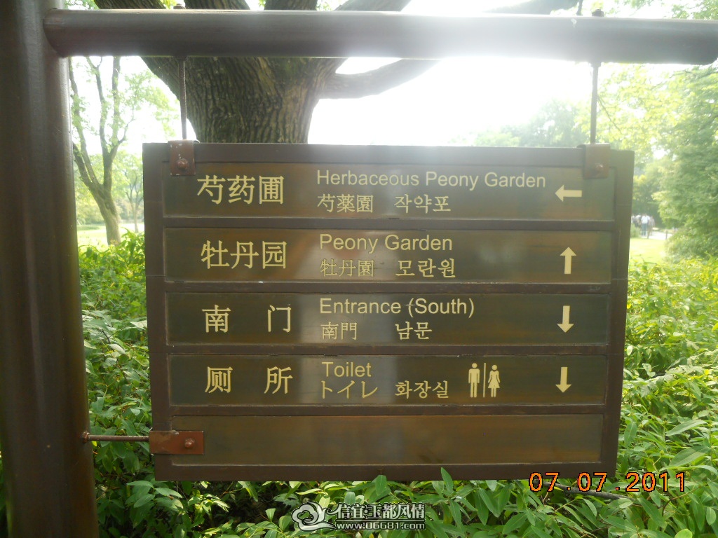 DSCN0520.JPG