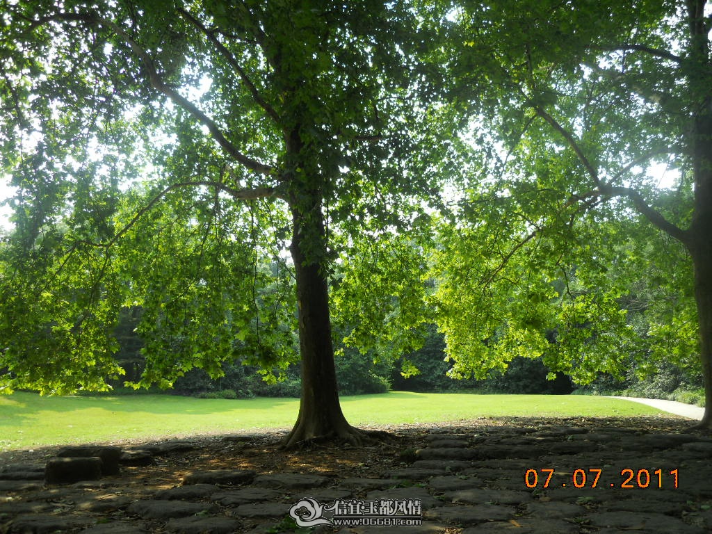 DSCN0522.JPG