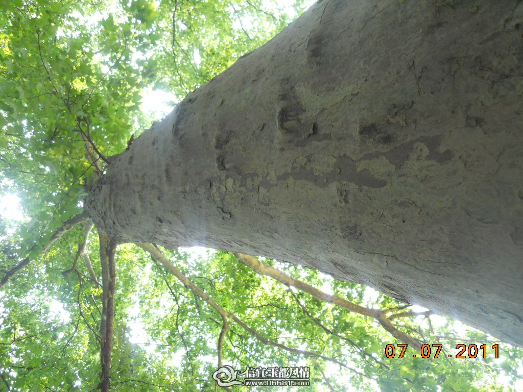 DSCN0523.JPG