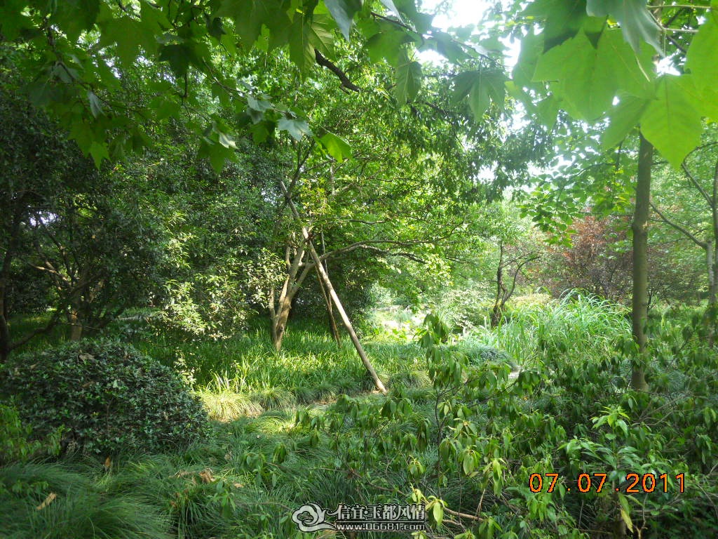 DSCN0526.JPG