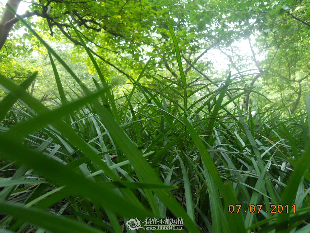DSCN0527.JPG