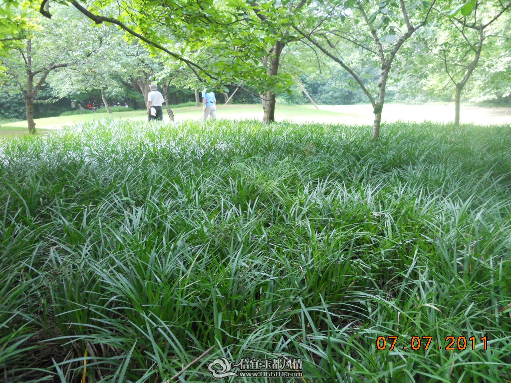 DSCN0528.JPG