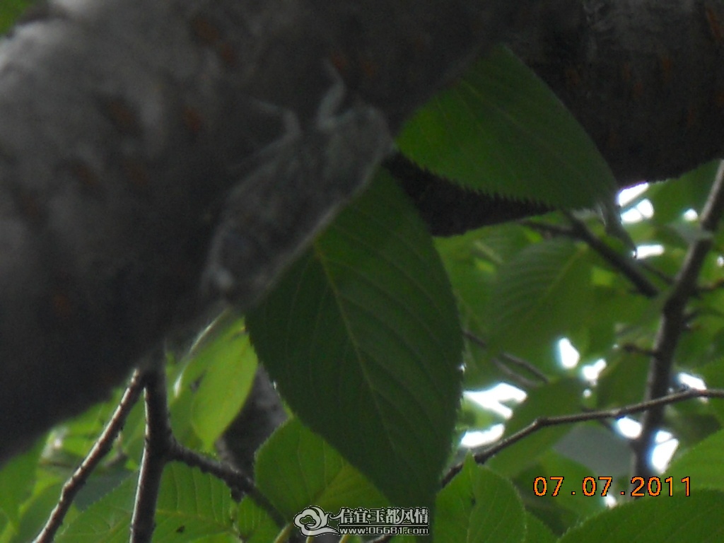 DSCN0529.JPG