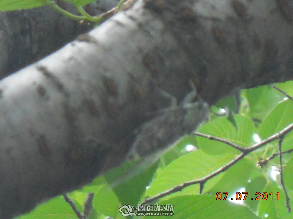 DSCN0530.JPG