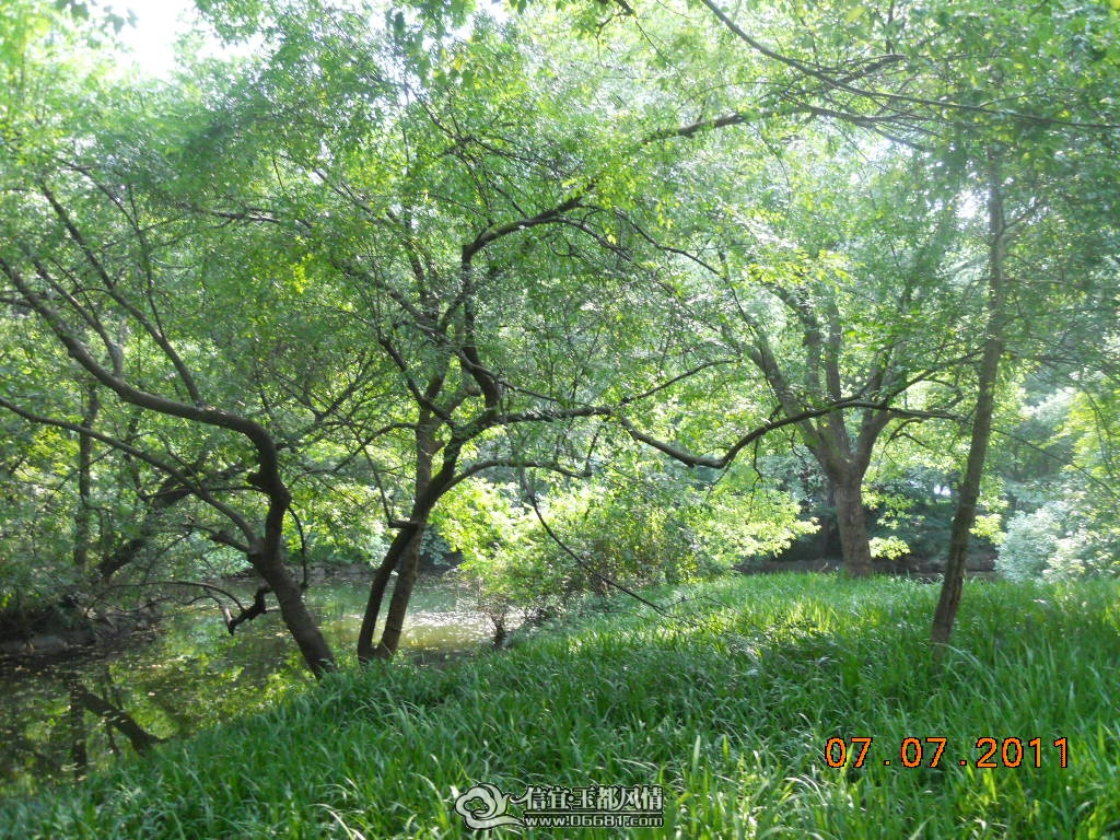 DSCN0532.JPG