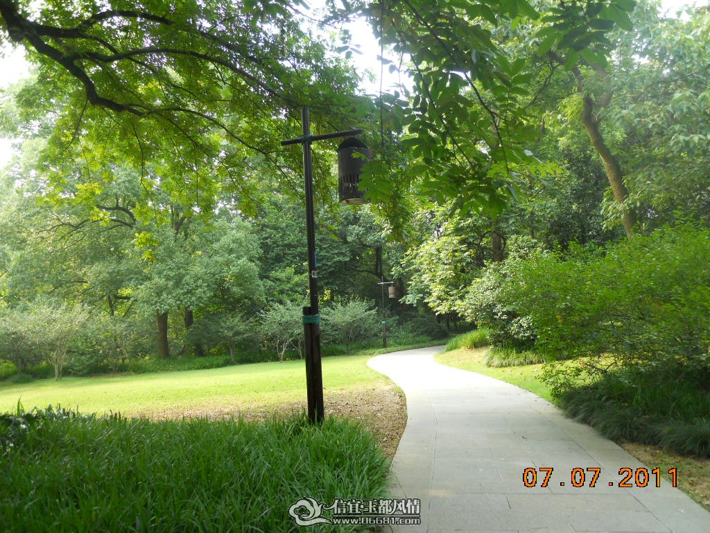 DSCN0533.JPG
