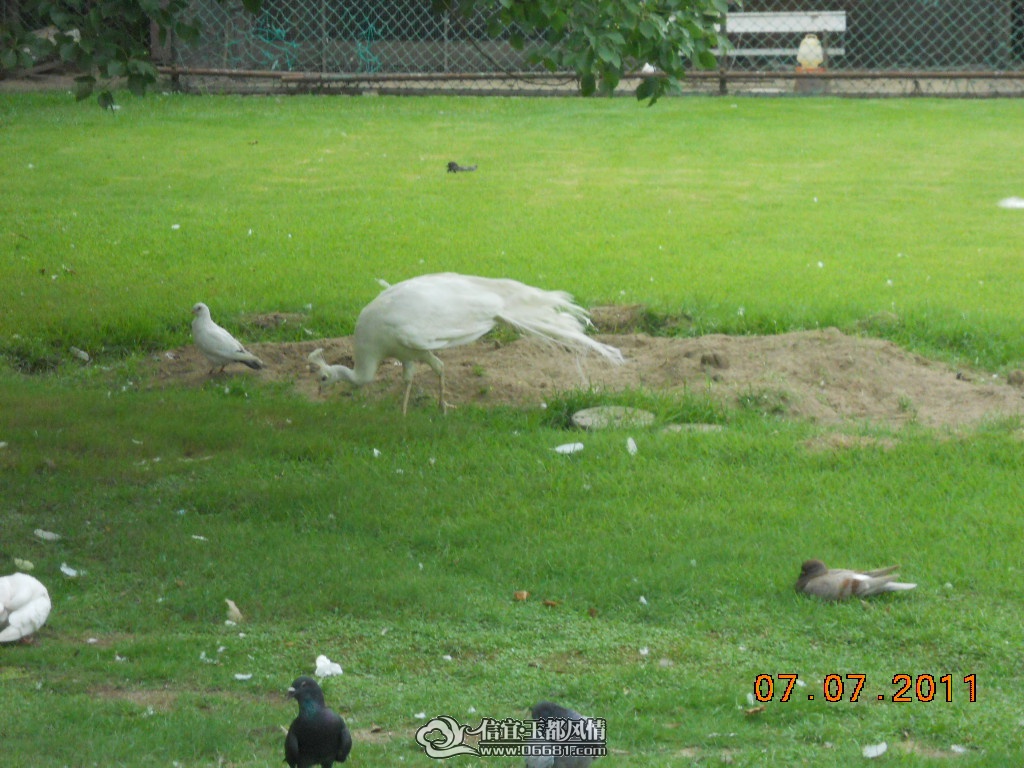 DSCN0538.JPG