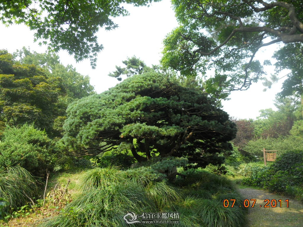 DSCN0551.JPG