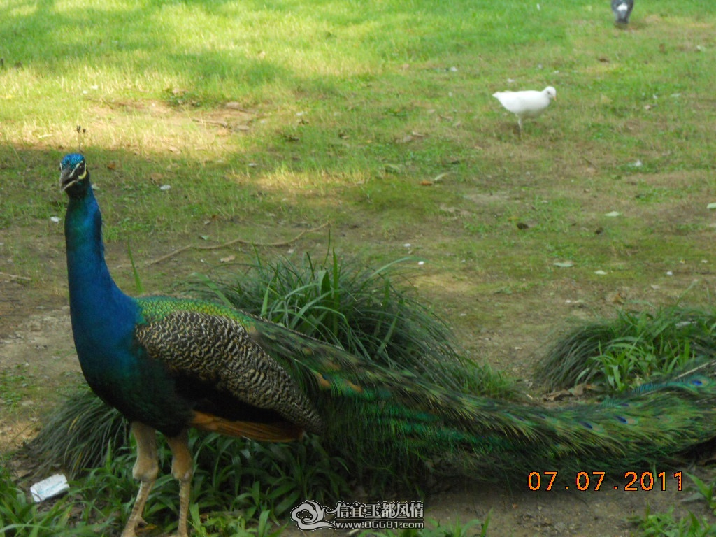 DSCN0562.JPG