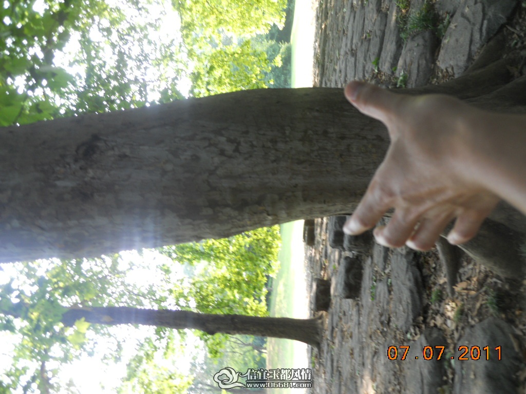 DSCN0568.JPG
