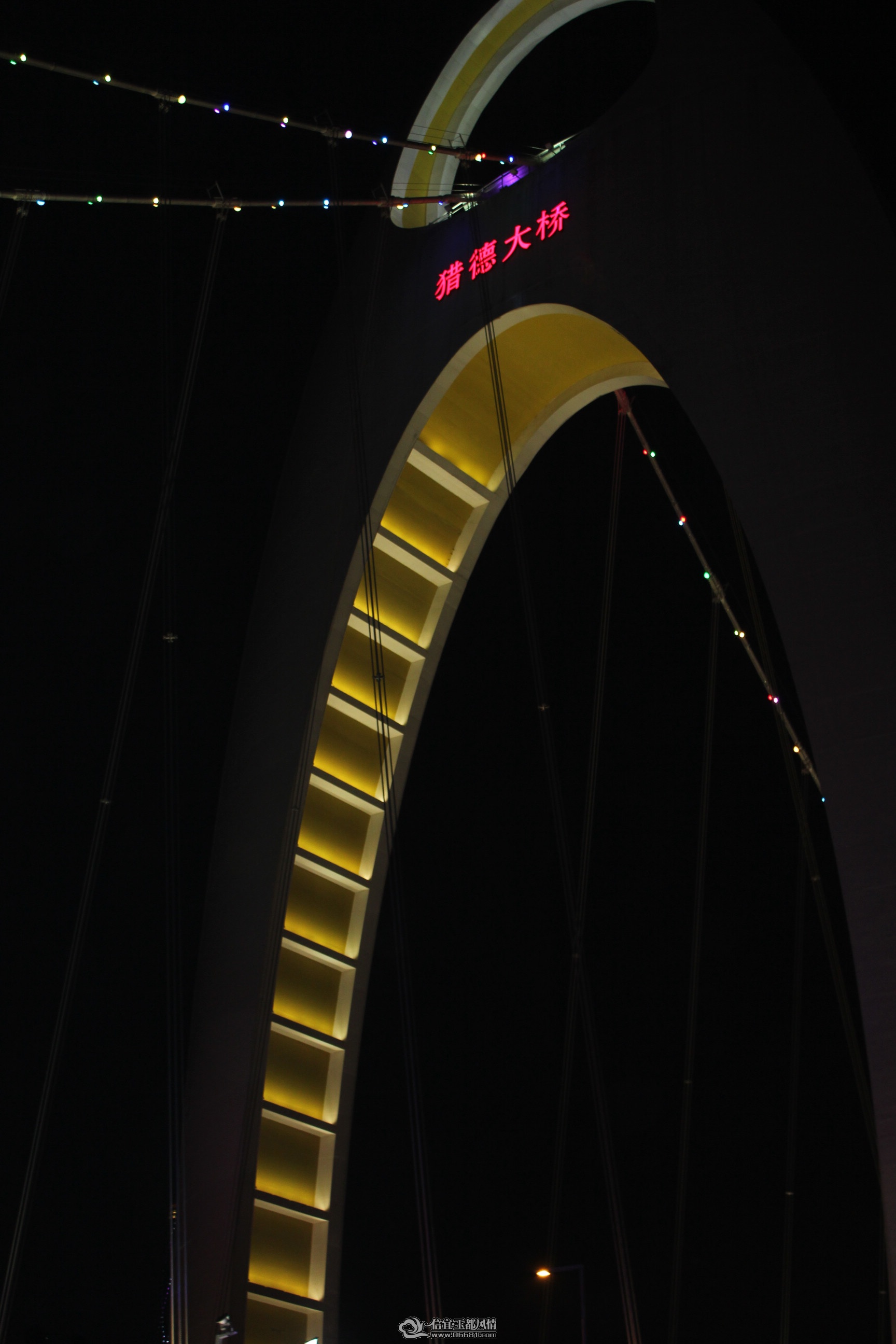 IMG_6317.jpg