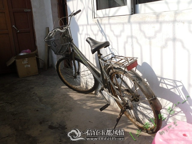SDC10619.jpg