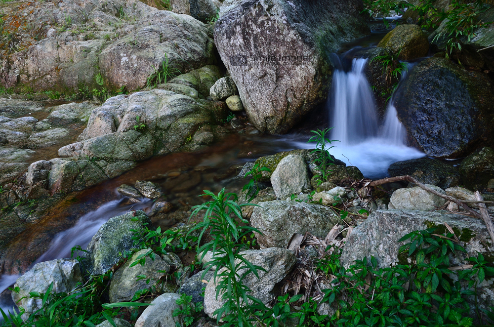 DSC_3440.jpg