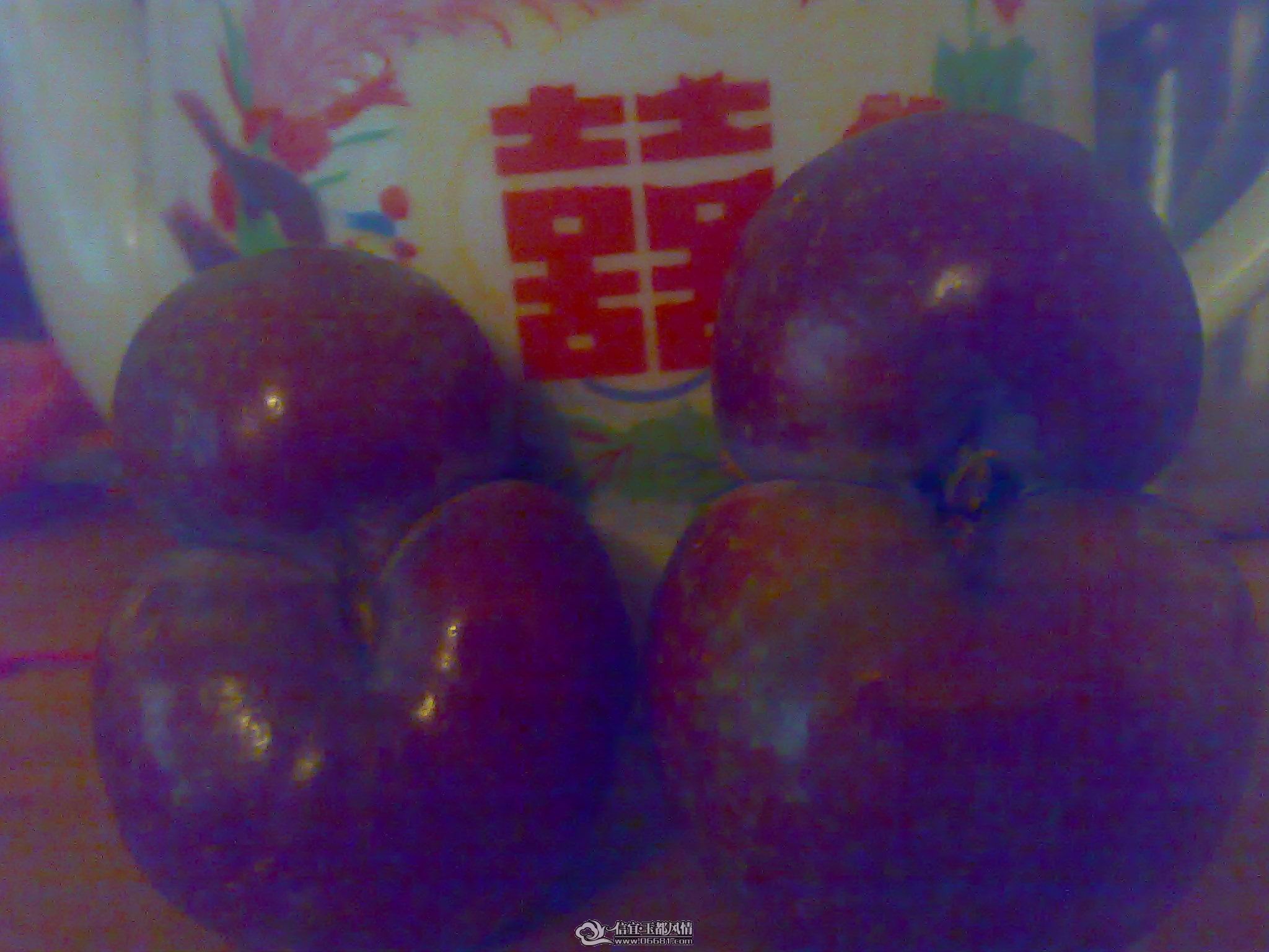 ���붴��