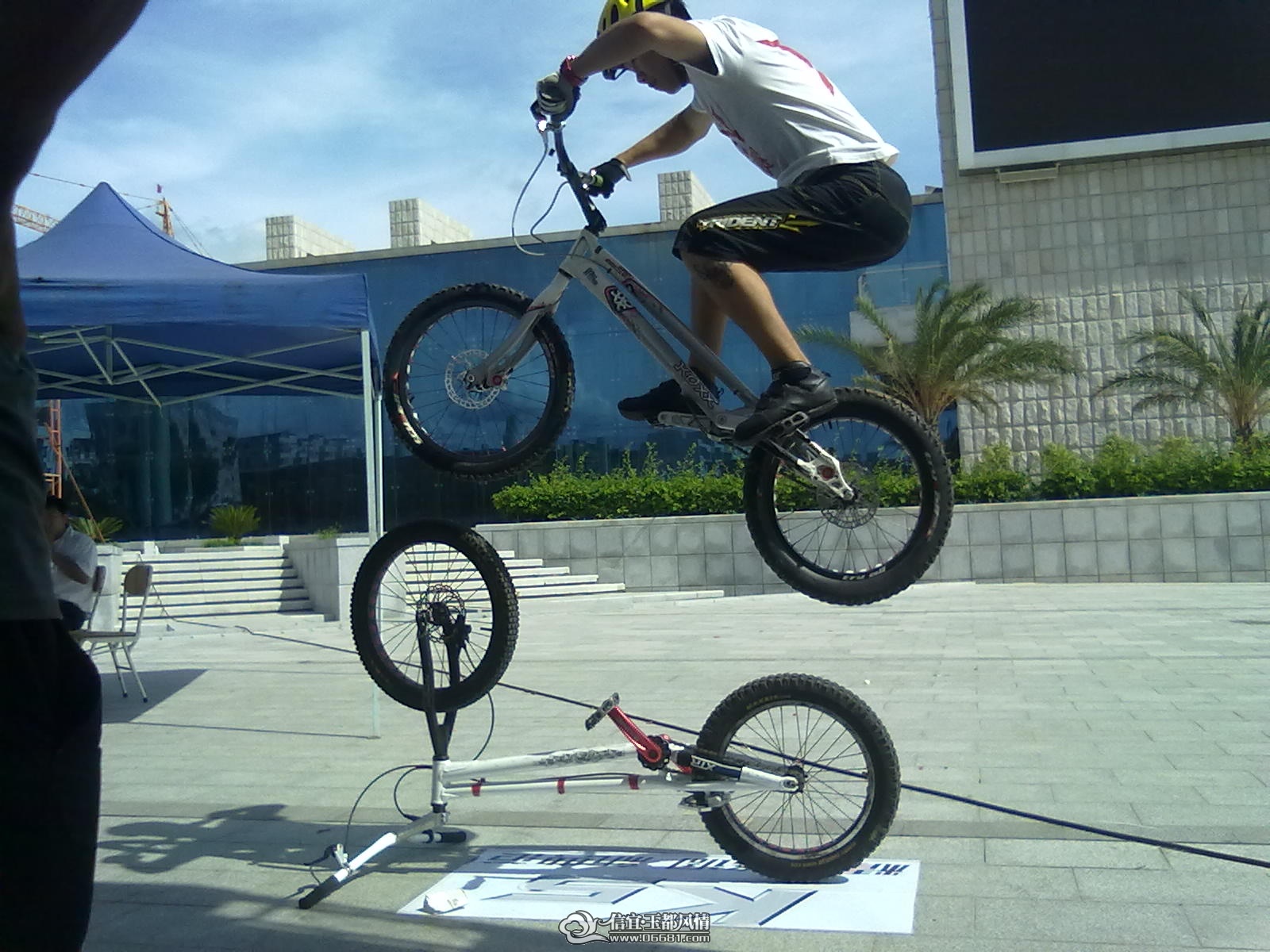 20110618397.jpg
