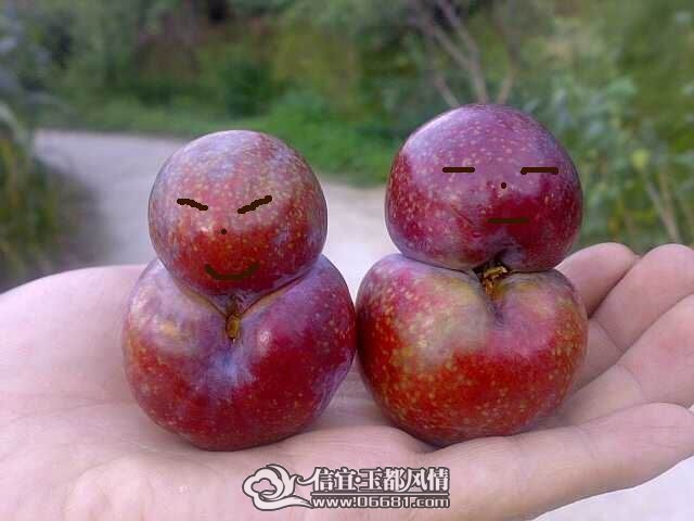 ����ױ������Ц��