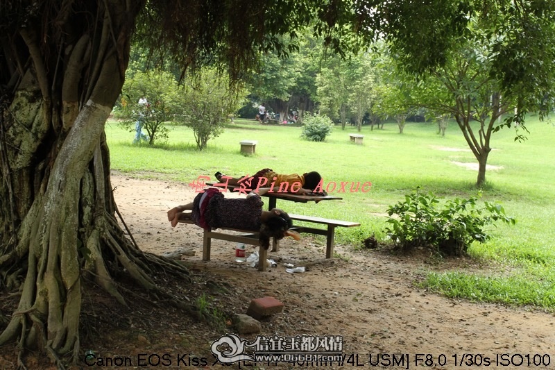 ��һ��һϸ����ѵϵ�ص�����ϵ��D��ɷ�羰
