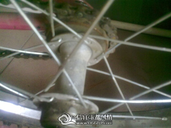 201107162381.jpg