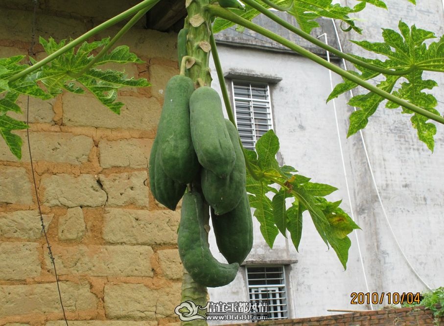 ľ��.jpg