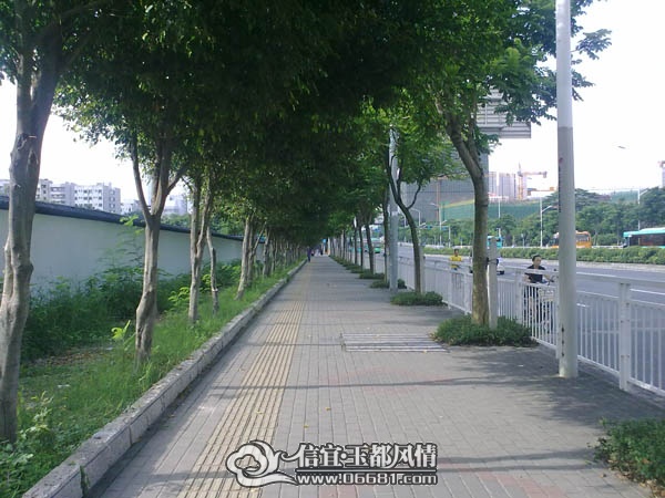 201107232406.jpg