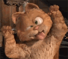 545556.gif