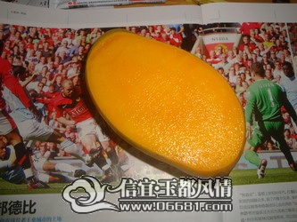 DSC03274_��С��С.JPG