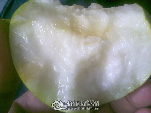 201107162395.jpg