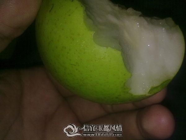201107162398.jpg