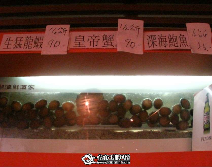 ���첻�ԡ������������PP�ġ�