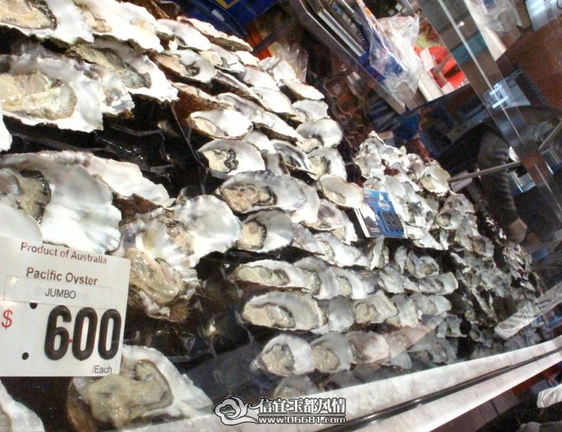 Ҳ�ǰ�Ԫ�����С�����42Ԫһֻ��