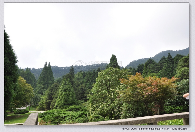 DSC_0231.jpg