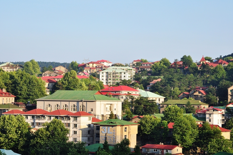 DSC_0203.jpg