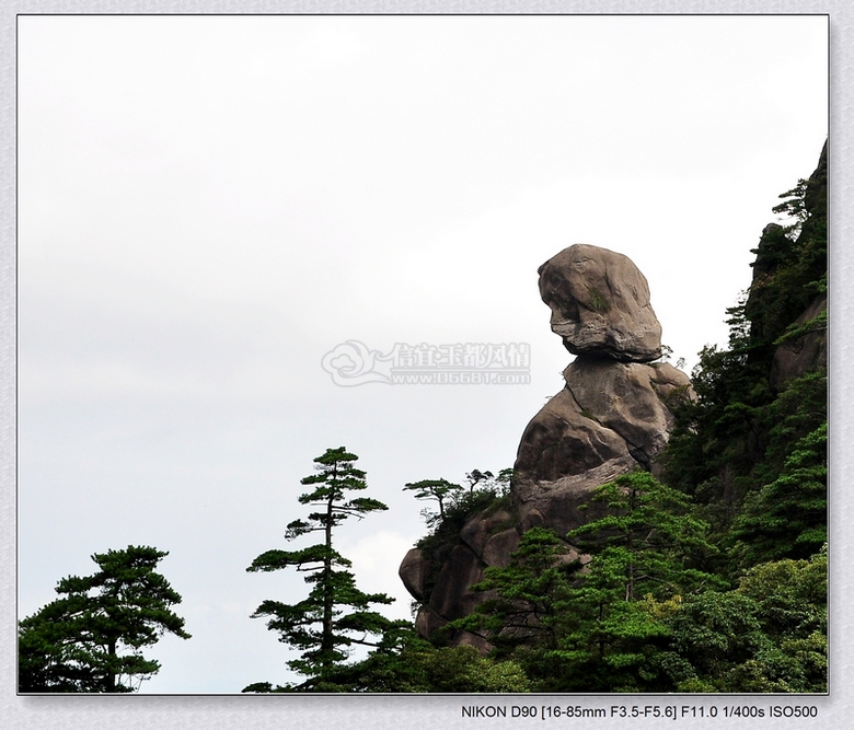 DSC_0306.jpg