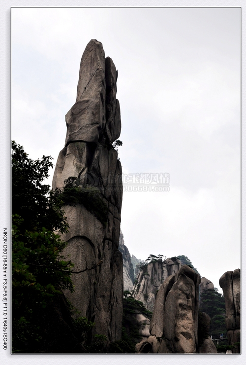 DSC_0404.jpg