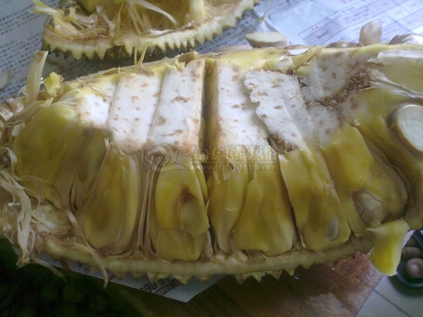 201108122446.jpg