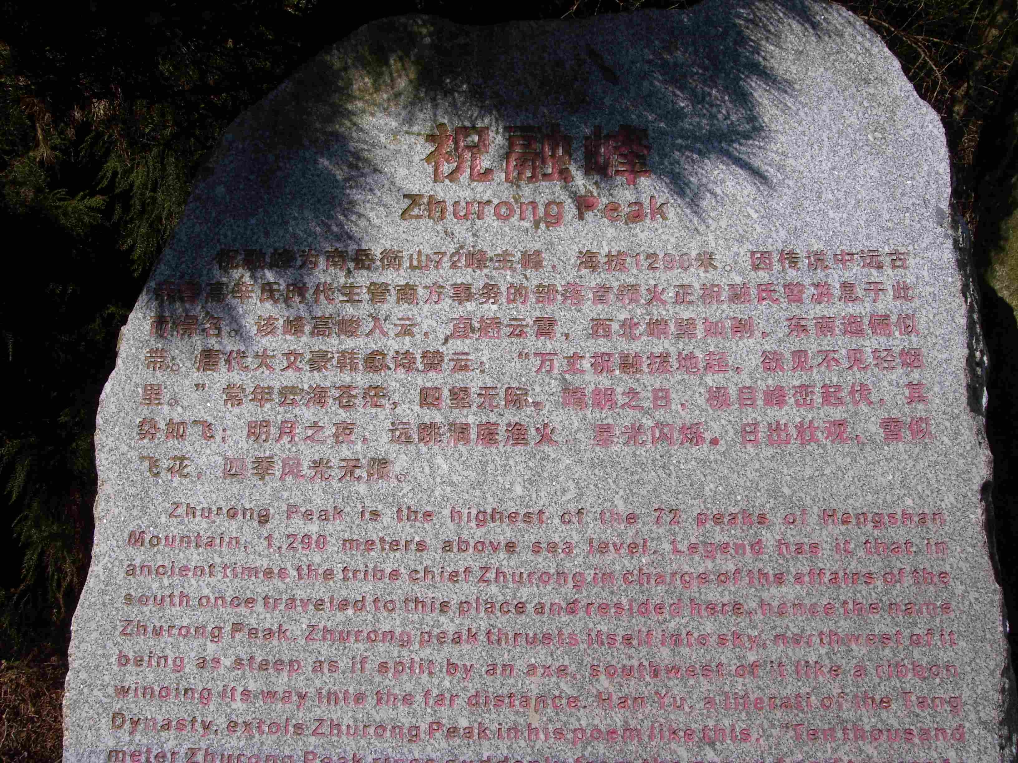 ST832877.JPG