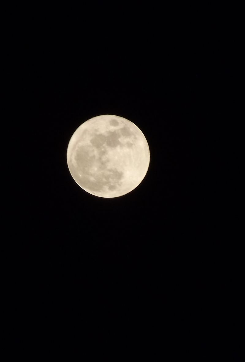 DSCF0513.jpg