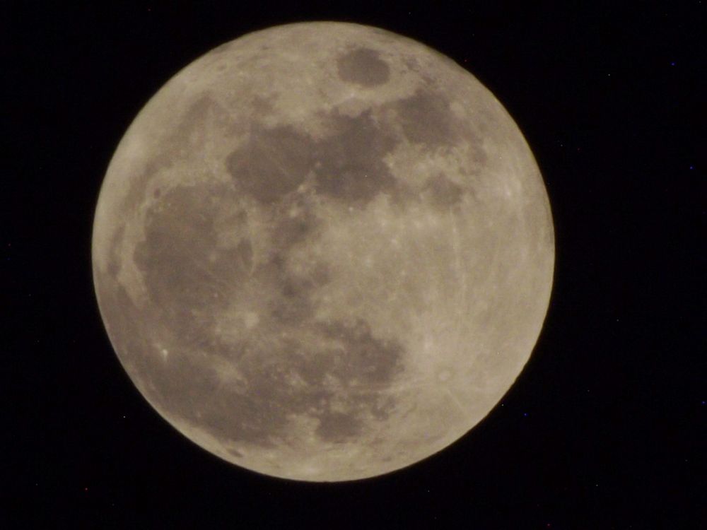DSCF0526.jpg