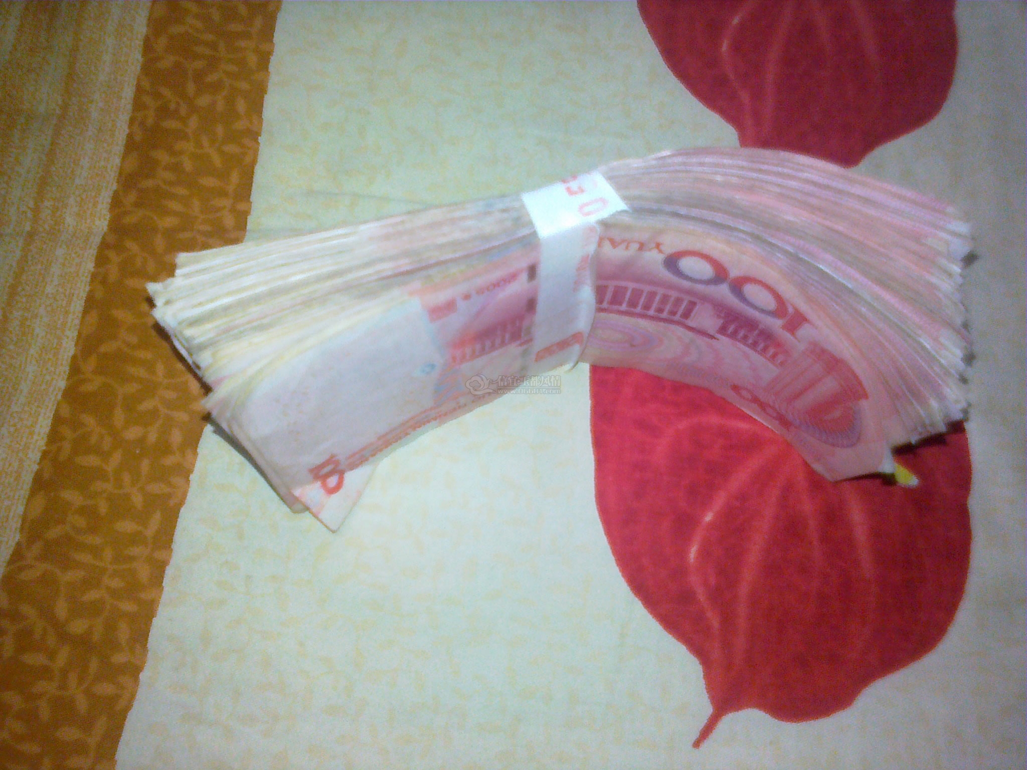 201001300531.jpg