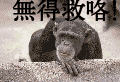 δ����.gif