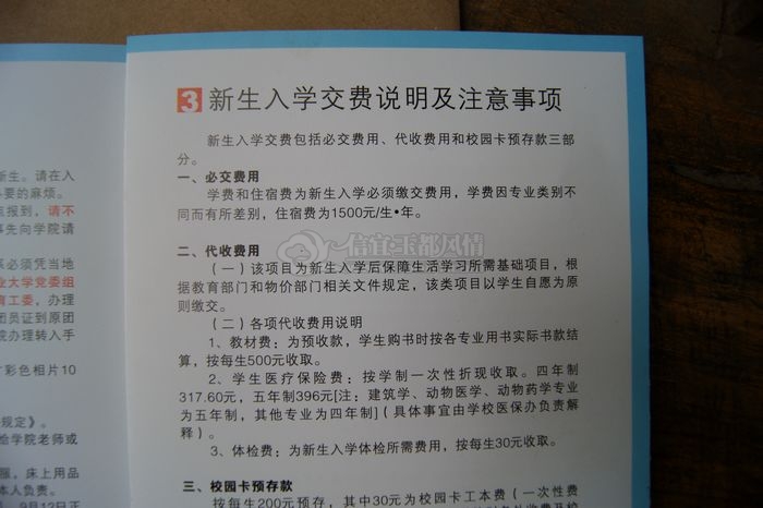 DSC08087.JPG