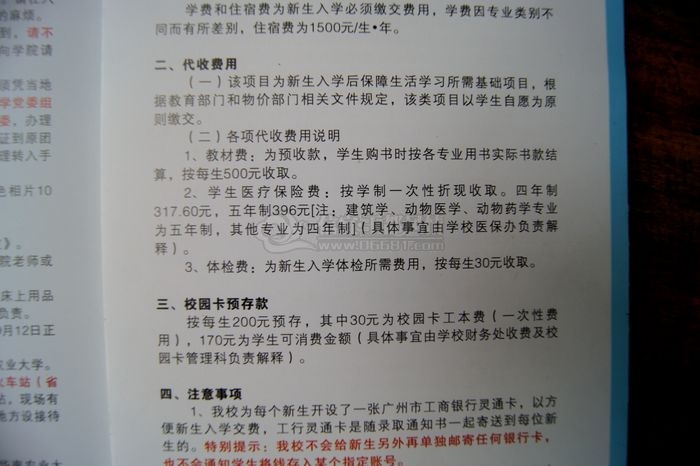 DSC08088.JPG