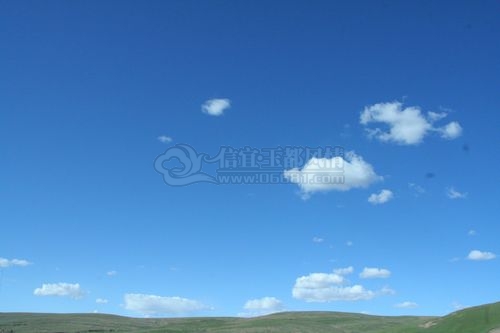 nEO_IMG_IMG_5925.jpg