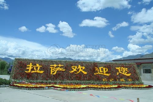 nEO_IMG_IMG_5657.jpg