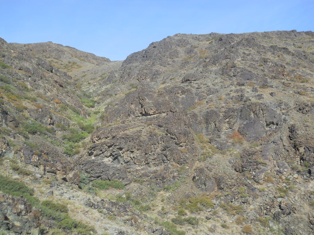 DSCN0320.JPG