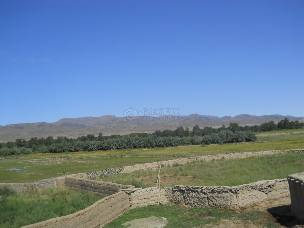 DSCN0381.JPG