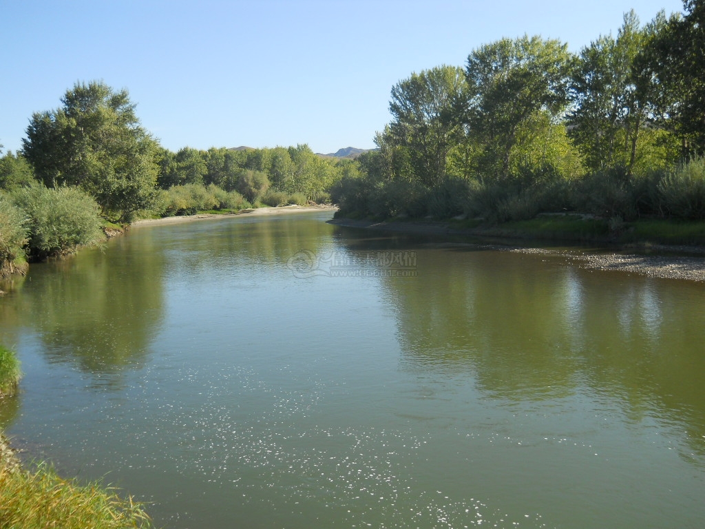 DSCN0558.JPG
