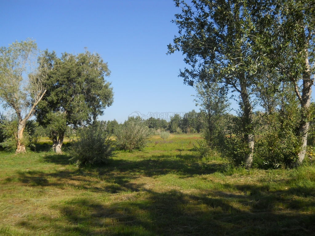 DSCN0563.JPG