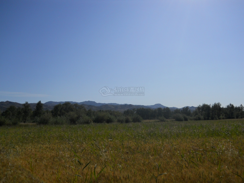 DSCN0567.JPG