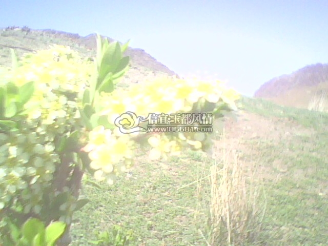 ���ӡ�� 090.jpg